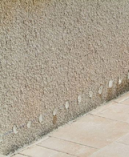 NewServicesBatichimie__Traitement des remontées capillaires